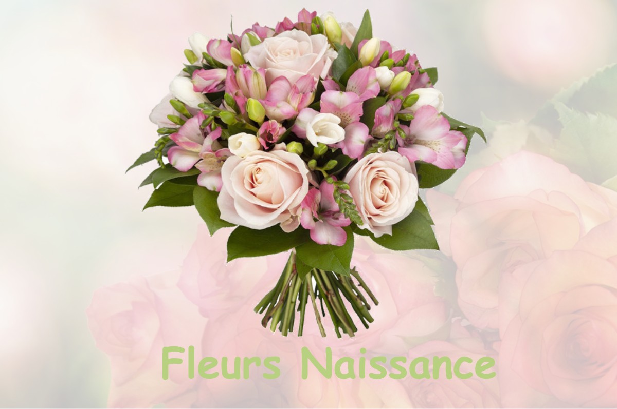 fleurs naissance ROUILLY-SACEY
